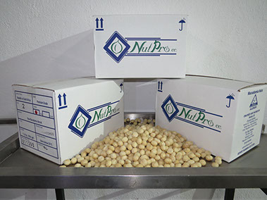 Nutpro - Macadamia Nut Processor